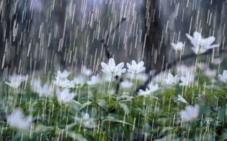 СЭРЭМЖЛҮҮЛЭГ: НАЛАЙХ, ТЭРЭЛЖ, УЛИАСТАЙ, ГАЧУУРТ ЧИГЛЭЛД ТҮР ЗУУРЫН ХҮЧТЭЙ ААДАР БОРОО ОРНО