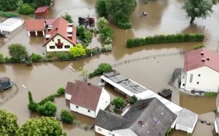 ГЕРМАНД ҮРГЭЛЖИЛСЭН ААДАР БОРОО ОРСНЫ УЛМААС 3000 ОРЧИМ ОРШИН СУУГЧИЙГ НҮҮЛГЭН ШИЛЖҮҮЛЖЭЭ