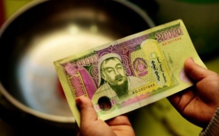 ХҮҮХДИЙН МӨНГИЙГ ЭНЭ САРЫН 20-НД ОЛГОНО