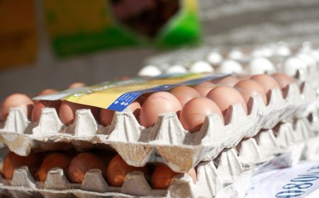 ӨНДӨГ, ЦАГААН БУДААНЫ ИМПОРТ БУУРЧ ГУРИЛЫН НИЙЛҮҮЛЭЛТ НЭМЭГДЖЭЭ