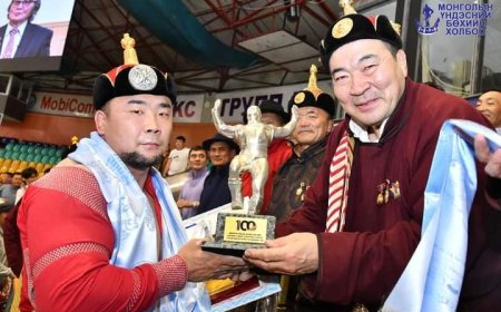 НААДМЫН СОРИЛГО БАРИЛДААНЫГ Д.АНАР ЗААН ТҮРҮҮЛЛЭЭ