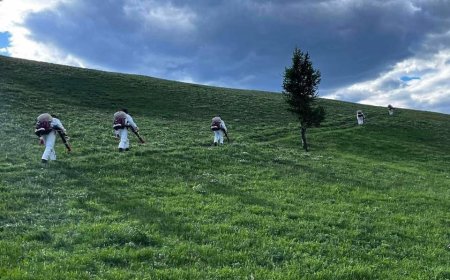 ОЙН ХӨНӨӨЛТ ШАВЖТАЙ ТЭМЦЭХ АЖИЛ АРХАНГАЙ АЙМАГТ ҮРГЭЛЖИЛЖ БАЙНА