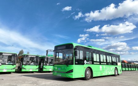 МАРГААШ НОГООН АВТОБУСНЫ ХЭРГИЙГ ШҮҮХ ХУРЛЫН УРЬДЧИЛСАН ХЭЛЭЛЦҮҮЛЭГ БОЛНО