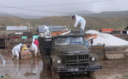 ЖИНСТ БАГИЙН ИРГЭДИЙГ ҮЕРИЙН ГОЛОМТООС ГАРГАЖ, ОРОН ГЭРИЙГ НЬ НҮҮЛГЭН ШИЛЖҮҮЛЖ БАЙНА