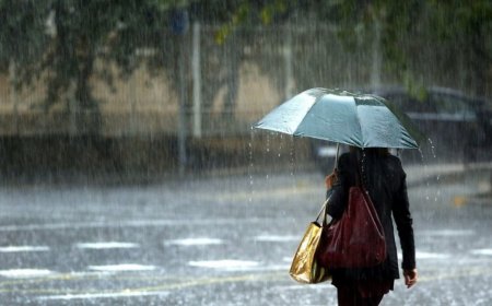 ДУУ ЦАХИЛГААНТАЙ БОРОО ҮРГЭЛЖЛЭН ОРНО