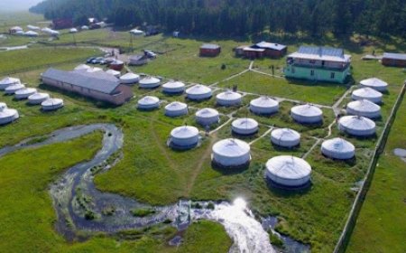 ЭМД-ААР ХӨНГӨЛӨЛТТЭЙ ҮНЭЭР ҮЙЛЧЛЭХ РАШААН СУВИЛАЛ, СЭРГЭЭН ЗАСАХ ТӨВҮҮД