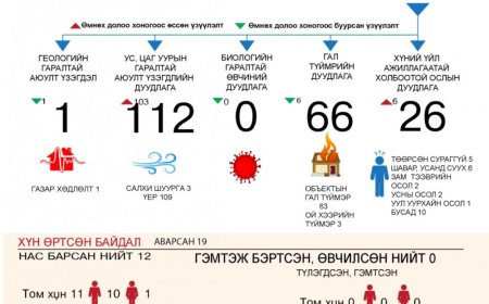 ӨНГӨРСӨН ДОЛОО ХОНОГТ ГАМШИГТ ҮЗЭГДЛИЙН УЛМААС 12 ХҮН НАС БАРЖЭЭ