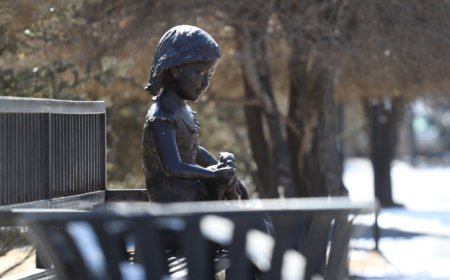 УЛААНБААТАРТ 26 ХЭМИЙН ДУЛААН, БАГА ЗЭРГИЙН БОРОО ОРНО