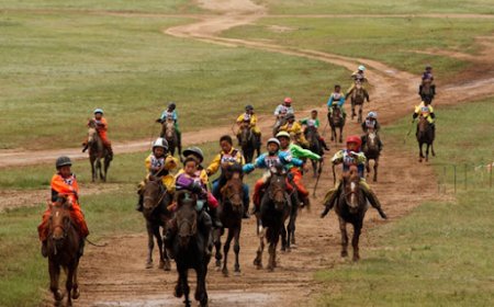 МОРЬ СУНГААНЫ ҮЕЭР НАЙМАН НАСТАЙ ХҮҮХЭД МОРИНООС УНАЖ АМИА АЛДЖЭЭ