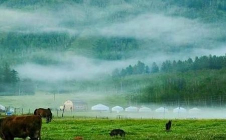 ӨНӨӨДӨР НУТГИЙН ЗҮҮН ХЭСГЭЭР ДУУ ЦАХИЛГААНТАЙ ААДАР БОРОО ОРНО