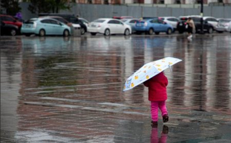 УЛААНБААТАРТ БАГА ЗЭРГИЙН ААДАР БОРОО ОРЖ, 31 ГРАДУС ДУЛААН БАЙНА
