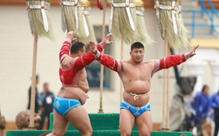 НААДАМД ЗОДОГЛОХ БӨХЧҮҮДИЙН БҮРТГЭЛ 19 ЦАГТ ДУУСНА