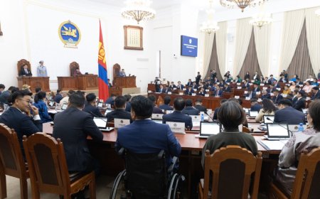 БАЙНГЫН ХОРООНЫ ДАРГА НАРЫГ ТОМИЛЛОО