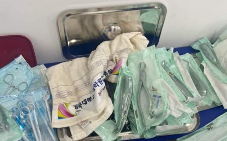 Х.ХОНГОРЗУЛ: СОЛОНГОС ЭМЧ НАР БОХИР БАГАЖААР ШҮД АВЧ БАЙНА