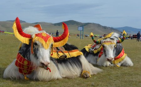 “САРЛАГИЙН БАЯР” БЭСРЭГ НААДАМ БОЛНО