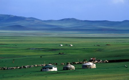 АДУУГАА ХУРААХААР ГЭРЭЭСЭЭ ГАРААД СУРАГГҮЙ БОЛСОН ИРГЭНИЙГ ЭРЭН ХАЙЖ БАЙНА