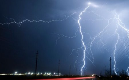 ӨЧИГДӨР ШӨНӨ ХОЁР ӨРХИЙН 510 ГАРУЙ БОГ МАЛ АЯНГАД ЦОХИУЛЖ, ХОРОГДЖЭЭ