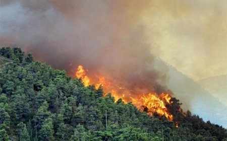 СЭЛЭНГЭ АЙМГИЙН ОЙ, ХЭЭРИЙН ТҮЙМРИЙГ УНТРААХААР НАЙМАН ХОНОГ АЖИЛЛАЖ БАЙНА