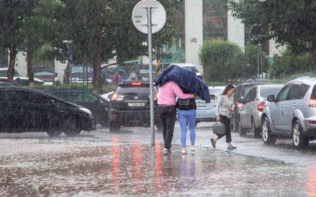 НИЙСЛЭЛД ДУУ, ЦАХИЛГААНТАЙ ААДАР БОРОО ОРНО
