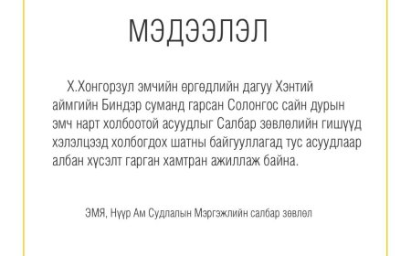 СОЛОНГОСЫН САЙН ДУРЫН ШҮДНИЙ ЭМЧ НАР АРИУТГААГҮЙ БАГАЖААР ИРГЭДЭД ҮЗЛЭГ ХИЙСЭН АСУУДЛЫГ ШАЛГАЖ БАЙНА