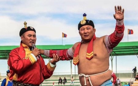 ДАРХАН АВАРГА Н.БАТСУУРЬ ЦОЛНЫ НАЙР ХИЙНЭ