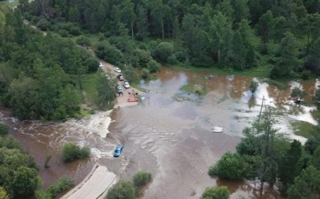 ГҮҮР ЭВДЭРСЭН ТУЛ ТЭШИГ СУМААС ИРГЭДИЙГ ЗАВИАР ЗӨӨЖ БАЙНА