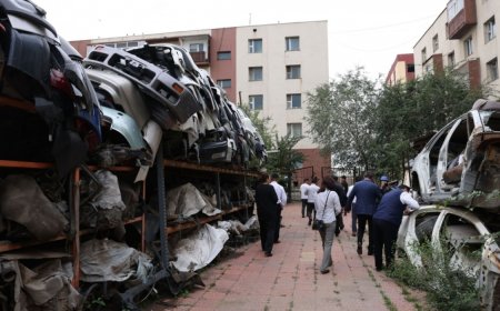 ГАЗРАА ЗОРИУЛАЛТЫН БУСААР АШИГЛАЖ, ХОЁРДОГЧ ТҮҮХИЙ ЭД ЦУГЛУУЛАН, БОРЛУУЛЖ БАЙСАН ЗӨРЧЛИЙГ АРИЛГАНА