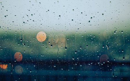 УЛААНБААТАР ХОТОД ААДАР БОРОО ОРНО