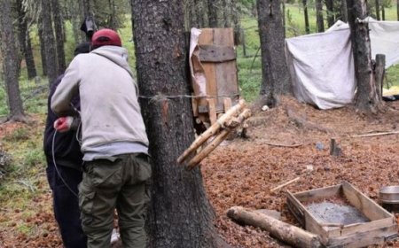 БОГДХАН УУЛНААС ХУУЛЬ БУСААР ОЛБОРЛОСОН НАЙМАН ТОНН САМРЫГ ХУРААН АВЧЭЭ
