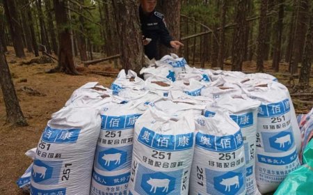 ИРГЭДИЙН ХУУЛЬ БУСААР БЭЛТГЭСЭН 90 ГАРУЙ ШУУДАЙ ХУШ МОДНЫ САМРЫГ ХУРААН АВЧЭЭ