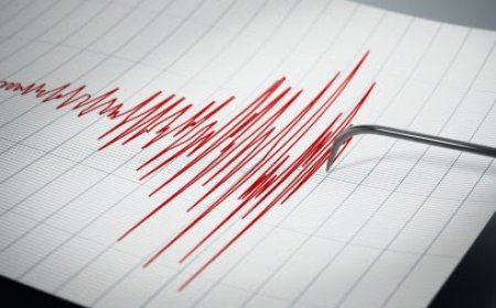 БАЯНХОНГОР АЙМГИЙН БАЯНЛИГ СУМАНД 4,5 МАГНИТУДЫН ХҮЧТЭЙ ГАЗАР ХӨДӨЛЖЭЭ