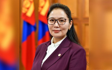 УИХ-ЫН ПАРЛАМЕНТЫН СУДАЛГАА, ХӨГЖЛИЙН ХҮРЭЭЛЭНГИЙН ЗАХИРЛААР Д.БУМДАРИЙГ ТОМИЛЖЭЭ