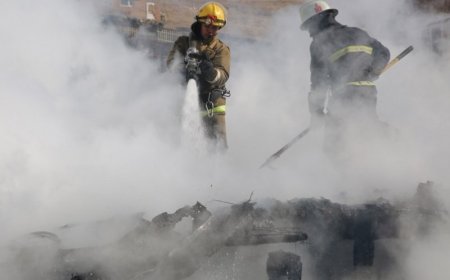 ХӨВСГӨЛД ГАРСАН ОЙН ТҮЙМЭРТ 225 ГА ТАЛБАЙ ӨРТЖЭЭ