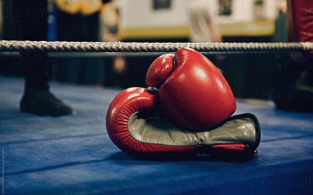 БОКСЫН ДЭЛХИЙН ЦОМЫН ТЭМЦЭЭН МОНГОЛД БОЛНО