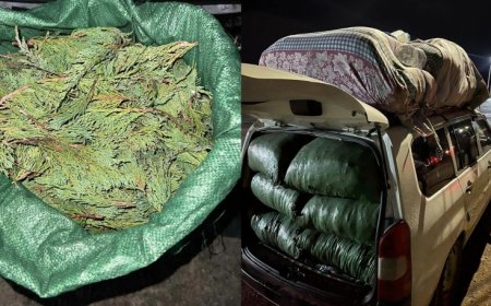 ХОВОР УРГАМАЛД ТООЦОГДОХ "ХОНИН АРЦ" ТЭЭВЭРЛЭЖ ЯВСНЫГ ИЛРҮҮЛЛЭЭ