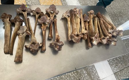 ХИАГТ БООМТООР МУ-ЫН ИРГЭН СЭЭРНИЙ ЯС АВЧ ГАРАХЫГ ЗАВДЖЭЭ