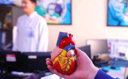 ХҮҮХДИЙН ЗҮРХНИЙ ГАЖИГ ЗАСАХ ХАГАЛГААГ БЭЭЖИН ХОТОД ҮНЭ ТӨЛБӨРГҮЙ ХИЙНЭ