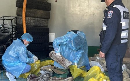 30 ШИРХЭГ НОЙТОН ТАРВАГА ХОТ РУУ НЭВТРҮҮЛЭХИЙГ ЗАВДЖЭЭ