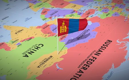 ЦАХИМААР ВИЗЭЭ МЭДҮҮЛЭЭД 5 МИНУТАД ХАРИУГАА АВДАГ БОЛСОН