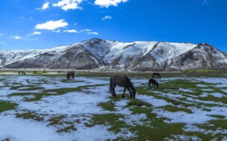 УЛААНБААТАРТ 20 ХЭМ ДУЛААН