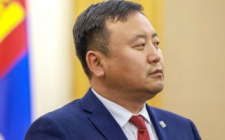 ХУУЛЬ ЗҮЙ, ДОТООД ХЭРГИЙН САЙД О.АЛТАНГЭРЭЛ “БОРДЮРЫН ХУЛГАЙ”-Г ХЯНАН ШАЛГАХ АЖЛЫН ХЭСЭГ ЯАРАЛТАЙ БАЙГУУЛАХААР БОЛЖЭЭ