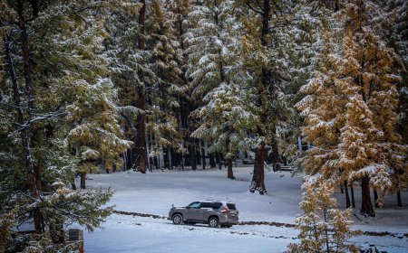ИРЭХ САРД ОЛОН ЖИЛИЙН ДУНДЖААС ХҮЙТЭН БАЙХ ТӨЛӨВТЭЙ БАЙНА