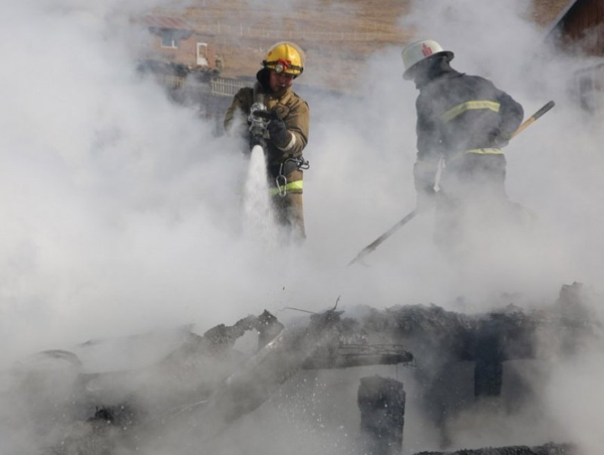 ХӨВСГӨЛД ГАРСАН ОЙН ТҮЙМЭРТ 225 ГА ТАЛБАЙ ӨРТЖЭЭ