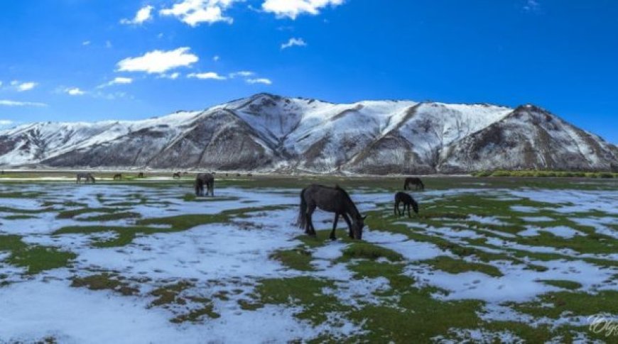 УЛААНБААТАРТ 20 ХЭМ ДУЛААН