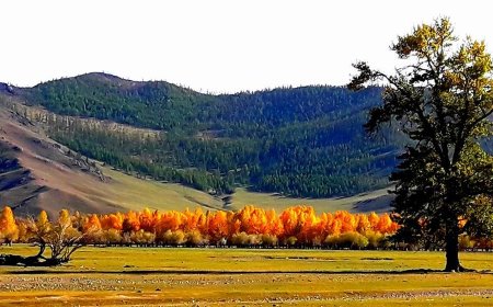 УЛААНБААТАРТ 14 ХЭМИЙН ДУЛААН, ХУР ТУНАДАС ОРОХГҮЙ