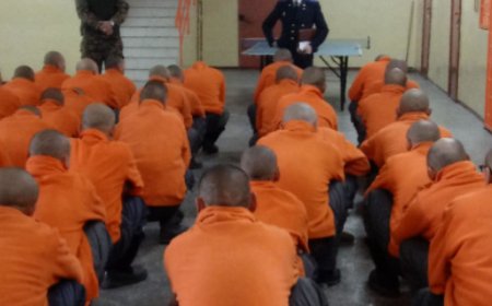 ХОРИХ 415 ДУГААР АНГИЙН ХҮМҮҮЖИГЧ АМИА ХОРЛОЖЭЭ