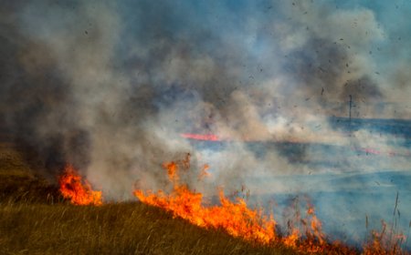 СЭЛЭНГЭ АЙМГИЙН ЕРӨӨ СУМАНД ХЭЭРИЙН ТҮЙМЭР ГАРЧЭЭ