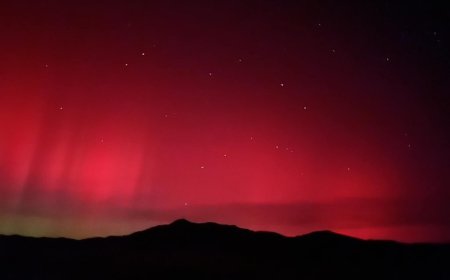 ӨВӨРХАНГАЙ, СЭЛЭНГЭ, БАЯНХОНГОР АЙМГУУДАД ТУЙЛЫН ТУЯА ҮЗЭГДЖЭЭ