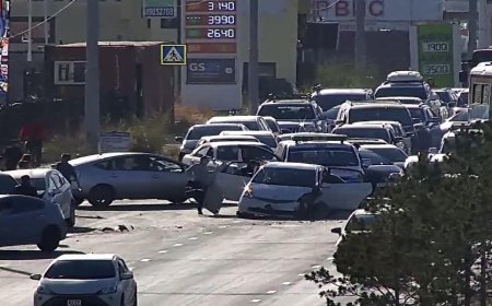 СУРРОНТОЙ СУРАГЧ 10 НАСТАЙ ХҮҮХДИЙГ ГЭМТЭЭЖ, УЛМААР АВТОМАШИНТАЙ МӨРГӨЛДЖЭЭ