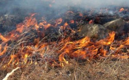ДОРНОД АЙМГИЙН БАЯНДУН СУМАНД ӨЧИГДӨР ГАРСАН ХЭЭРИЙН ТҮЙМРИЙГ УНТРААХААР АЖИЛЛАЖ БАЙНА